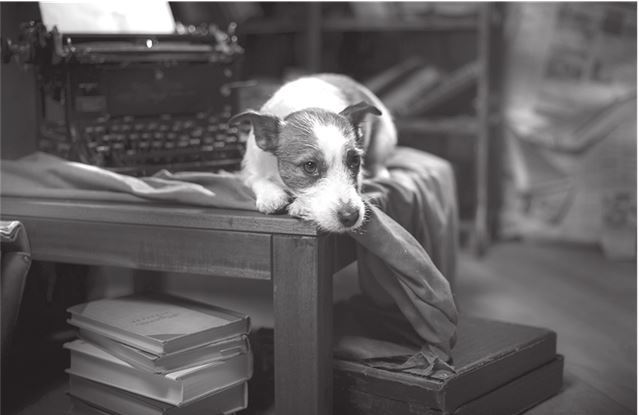 Фокус. Бизнес-роман про коучинг - i_003.jpg