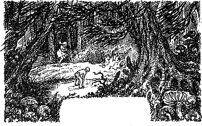 Прогулка в Волчьем лесу - i_002.png