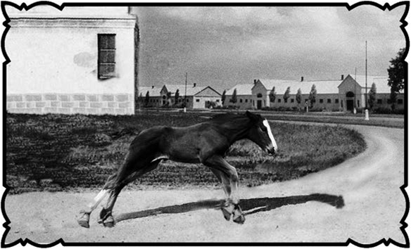 Соль с Жеваховой горы - b00000018.png