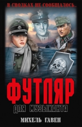 Футляр для музыканта - автор Гавен Михель 