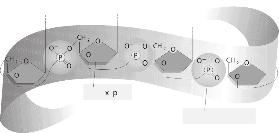 ДНК. История генетической революции - i_024.png