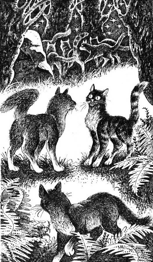 Сверкающая Звезда - pic_2.jpg