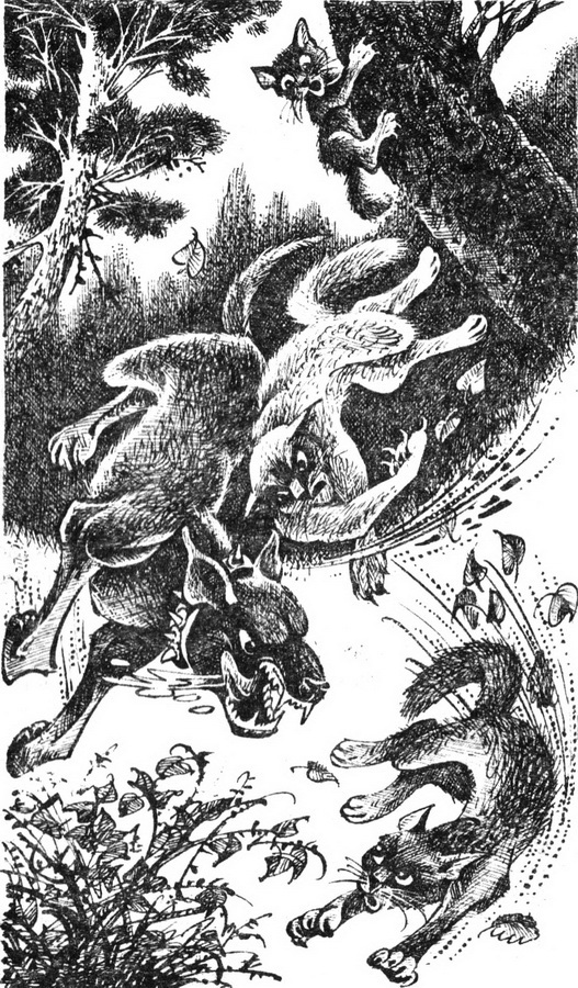 Первая битва - pic_3.jpg