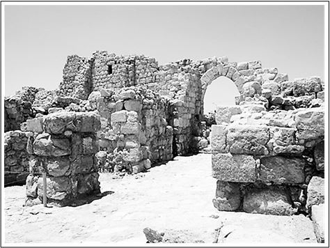 Древние палестинские обители и прославившие их святые подвижники - i_030.jpg