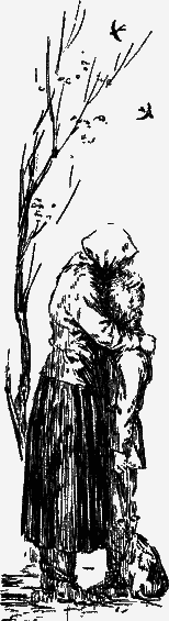 Вадимка - any2fbimgloader35.png