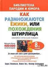 Штирлиц, или Вторая молодость - автор Бегемотов Нестор Онуфриевич 