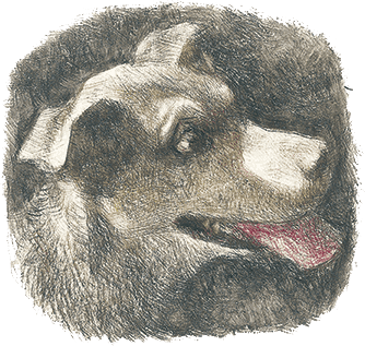 Удивительный Волшебник Из Страны Оз - i_005.png