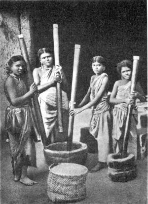 Письма из пещер и дебрей Индостана - i_008.jpg