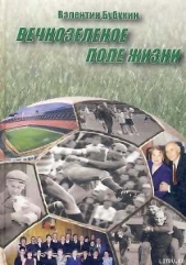  Бубукин Валентин Борисович - Вечнозеленое поле жизни