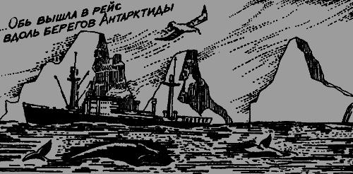Антарктида - i_040.png