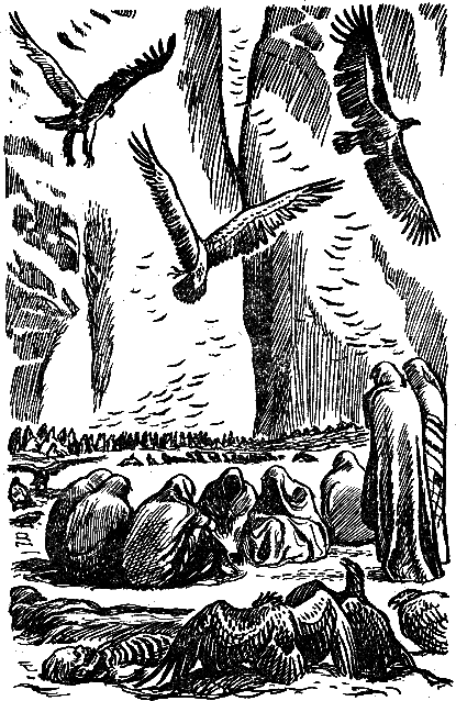 Саламбо - i_012.png