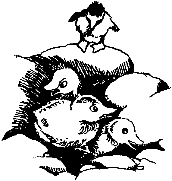 Летящие к северу - pic04.png