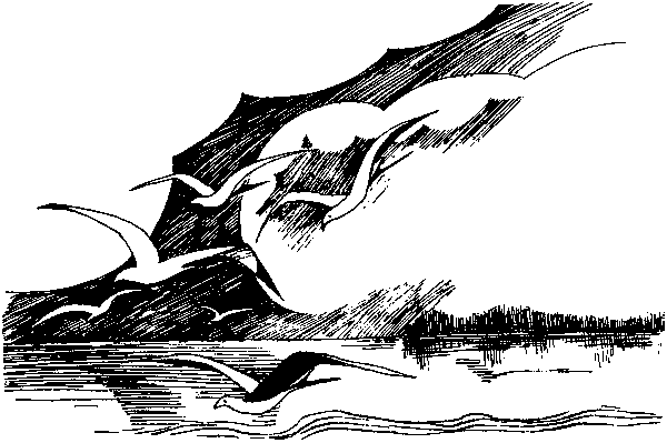 Летящие к северу - pic22.png