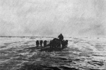 Пешком через Ледовитый океан - _26.jpg