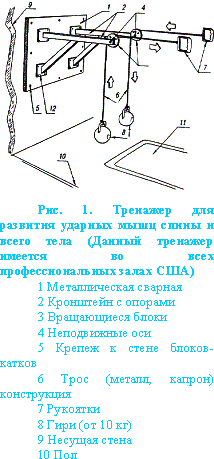 Его величество удар - image_2.png