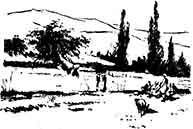 Рубин эмира бухарского - pic_1.jpg