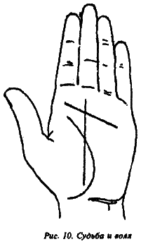 Полный курс хиромантии - i_010.png