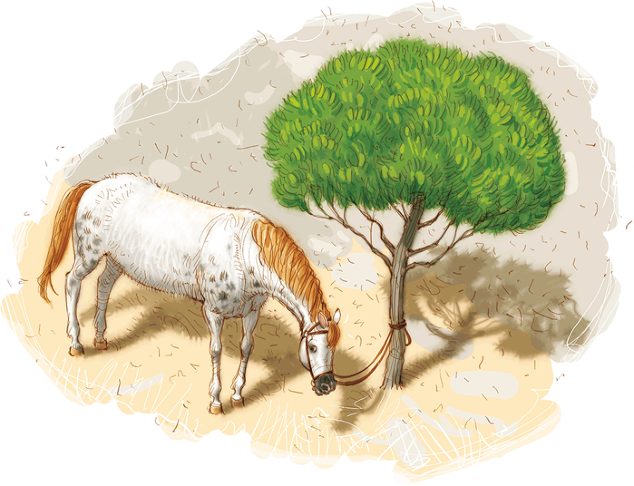 Пеппи Длинныйчулок 1-3 - i_020.png