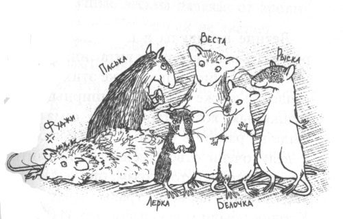 Крысявки. Крысиное житие в байках и картинках - _1.jpg