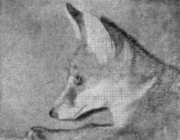 Собака и лисица - doc2fb_image_02000004.jpg