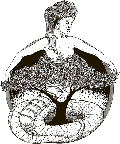 Фантастические создания (сборник) - i_012.png