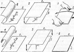 Знай и умей. Самодельные коллекции по ботанике и зоологии - i_003.jpg