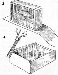 Знай и умей. Самодельные коллекции по ботанике и зоологии - i_024.jpg