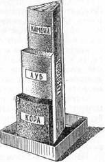 Знай и умей. Самодельные коллекции по ботанике и зоологии - i_032.jpg