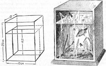 Знай и умей. Самодельные коллекции по ботанике и зоологии - i_055.jpg