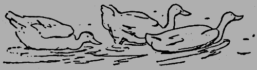 Тонкая струна - _021.png