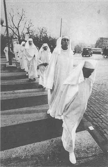 Друиды. Поэты, ученые, прорицатели - pic_68.jpg