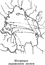 Рассказ о жизни рыб - i_043.png