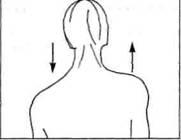 Управление телом по методу Пилатеса - any2fbimgloader10.jpeg