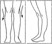 Управление телом по методу Пилатеса - any2fbimgloader13.jpeg