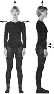 Управление телом по методу Пилатеса - any2fbimgloader17.jpeg