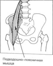 Управление телом по методу Пилатеса - any2fbimgloader35.jpeg