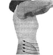 Управление телом по методу Пилатеса - any2fbimgloader8.jpeg