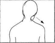 Управление телом по методу Пилатеса - any2fbimgloader9.jpeg