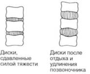 Управление телом по методу Пилатеса - any2fbimgloader45.jpeg