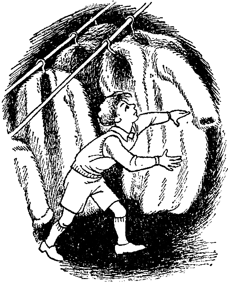 Лев, колдунья и платяной шкаф (с иллюстрациями) - i_010.png