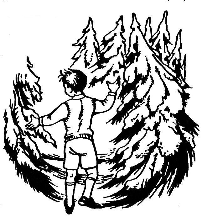 Лев, Чаклунка і стара шафа - _11.jpg