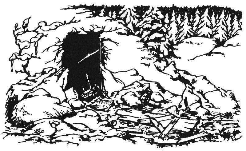 Лев, Чаклунка і стара шафа - _16.jpg