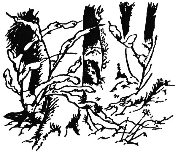 Лев, Чаклунка і стара шафа - _18.jpg