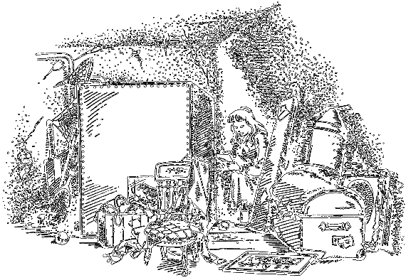 Племянник чародея (с иллюстрациями) - i_002.png