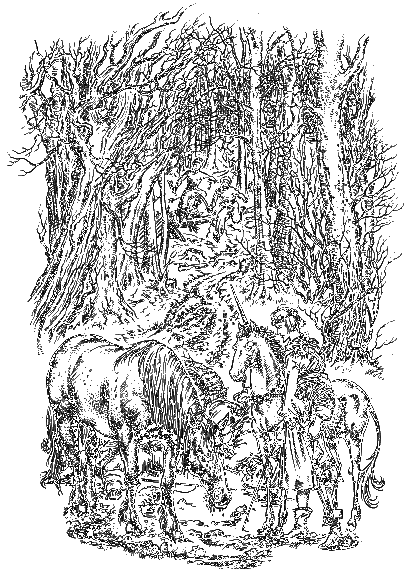 Последняя битва (с иллюстрациями) - i_007.png