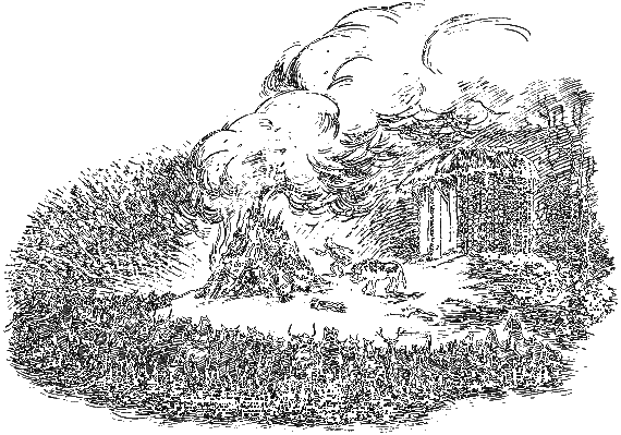 Последняя битва (с иллюстрациями) - i_010.png