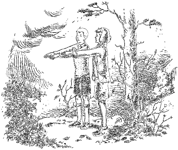 Серебряное кресло (с иллюстрациями) - i_001.png