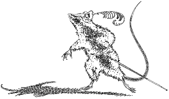 Хроники Нарнии (сборник) (другой перевод) - i_004.png