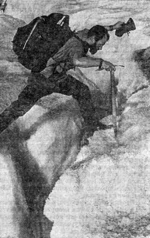 Три загадки Арктики - i_065.jpg