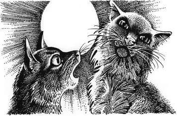 Герои Племен - pic_188.jpg